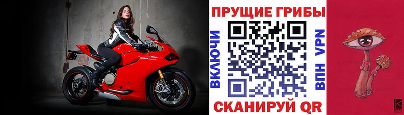Псилоцибиновые грибы Psilocybine cubensis  Купить где  Крымск 
